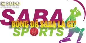bóng đá Saba là gì