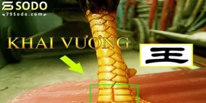 Vảy khải vương